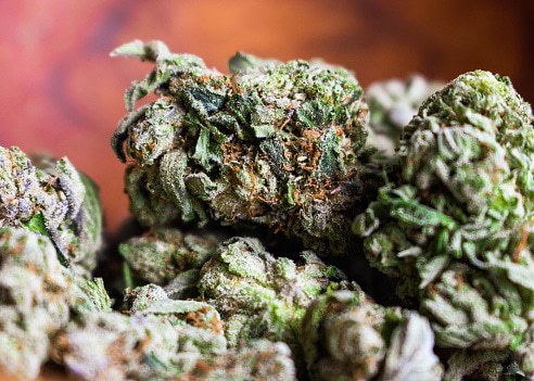 Indica flower